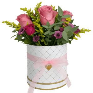 Box Rosas