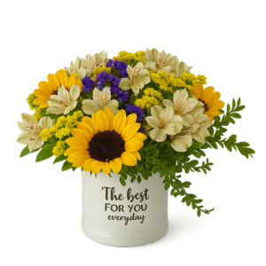 Box Mix Girasoles